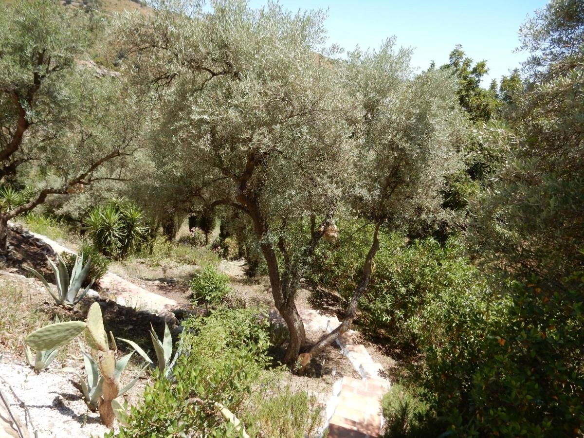 Bed And Breakfast Lagabella Sedella Exterior foto