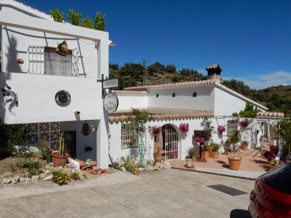 Bed And Breakfast Lagabella Sedella Exterior foto